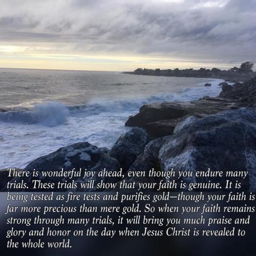 14902756_10155118592872662_2802679916975458966_o